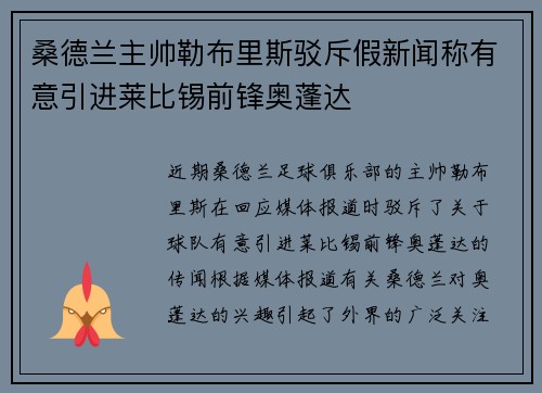 桑德兰主帅勒布里斯驳斥假新闻称有意引进莱比锡前锋奥蓬达